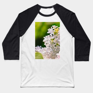 White Lilac Flowers Baseball T-Shirt